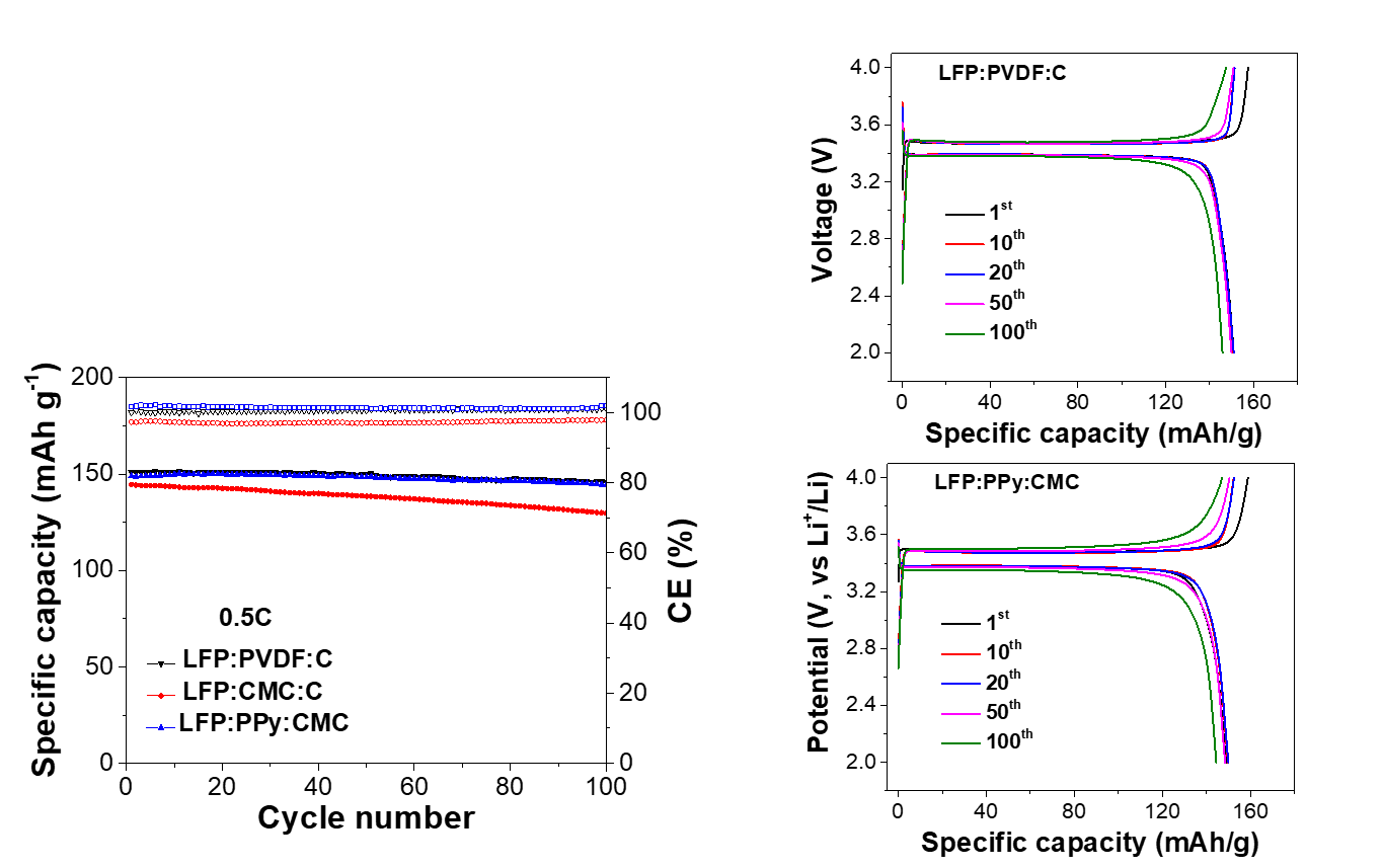 LFP half cell: specific capacity versus cycle number at 0.5C for PVDF:C, CMC:C and PPy:CMC through 100 cycles; charge-discharge curves at cycles 1, 10, 20, 50 and 100.